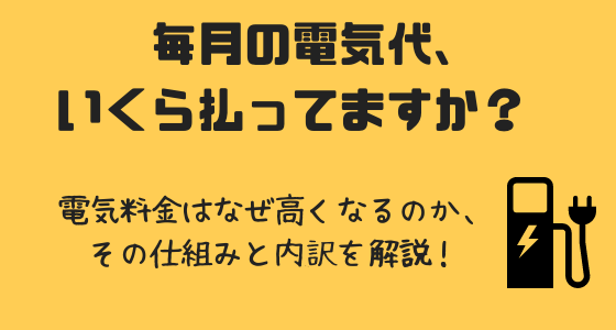 毎月の電気代、いくら払ってますか？